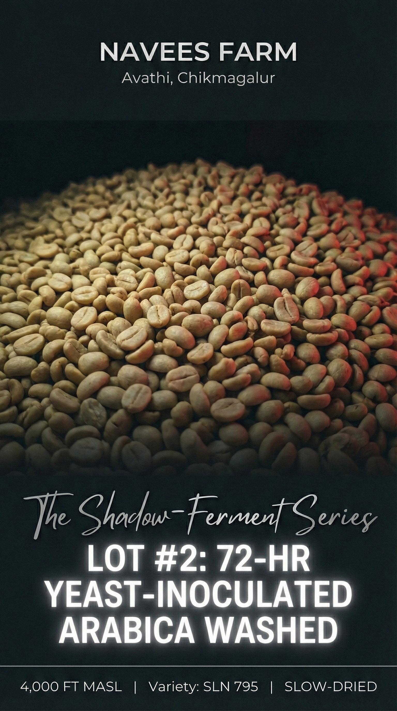 72h Cima Yeast Arabica