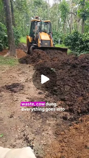 Tractor moving a heap of compost made from estate waste along a path between coffee plants